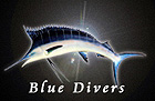 Duiken en snorkelen bij the Blue Divers in Eersel